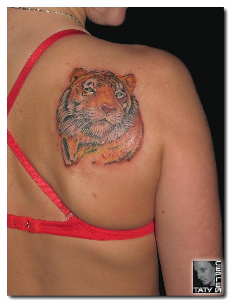 Фото и  значения татуировки Тигр. - Страница 2 Z_3bc4b5bf
